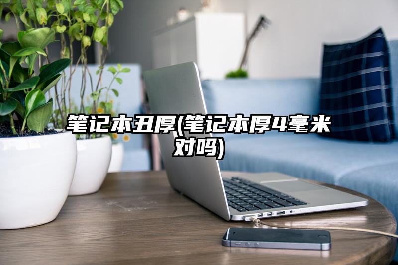 笔记本丑厚(笔记本厚4毫米对吗)