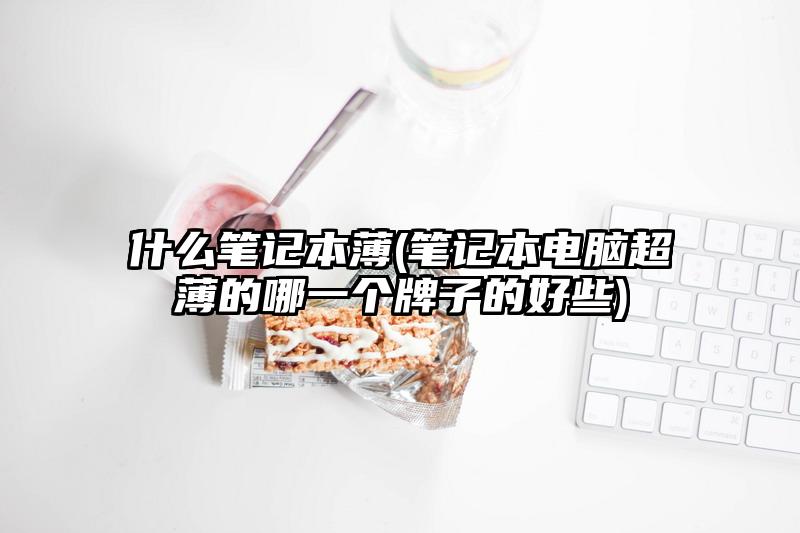 什么笔记本薄(笔记本电脑超薄的哪一个牌子的好些)