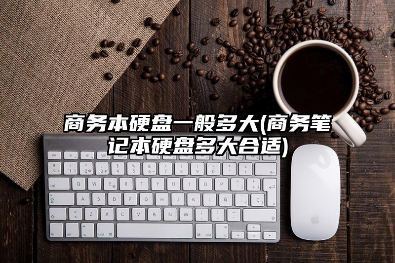 商务本硬盘一般多大(商务笔记本硬盘多大合适)