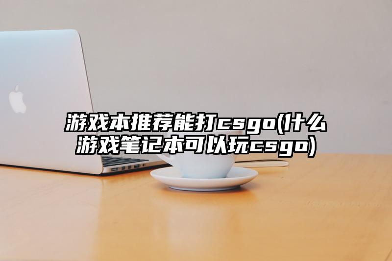 游戏本推荐能打csgo(什么游戏笔记本可以玩csgo)