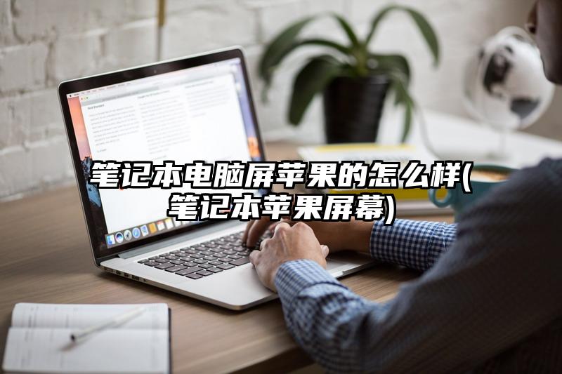 笔记本电脑屏苹果的怎么样(笔记本苹果屏幕)