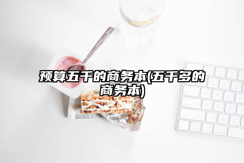 预算五千的商务本(五千多的商务本)