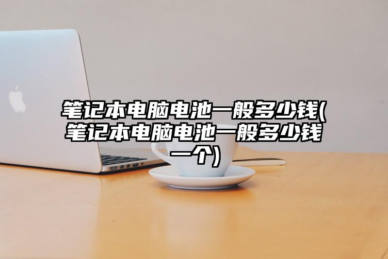 笔记本电脑电池一般多少钱(笔记本电脑电池一般多少钱一个)
