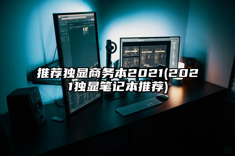 推荐独显商务本2021(2021独显笔记本推荐)