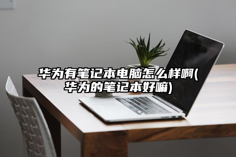 华为有笔记本电脑怎么样啊(华为的笔记本好嘛)