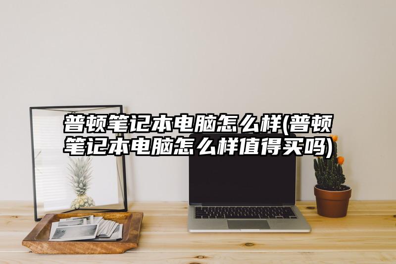 普顿笔记本电脑怎么样(普顿笔记本电脑怎么样值得买吗)