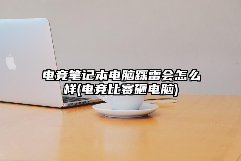 电竞笔记本电脑踩雷会怎么样(电竞比赛砸电脑)