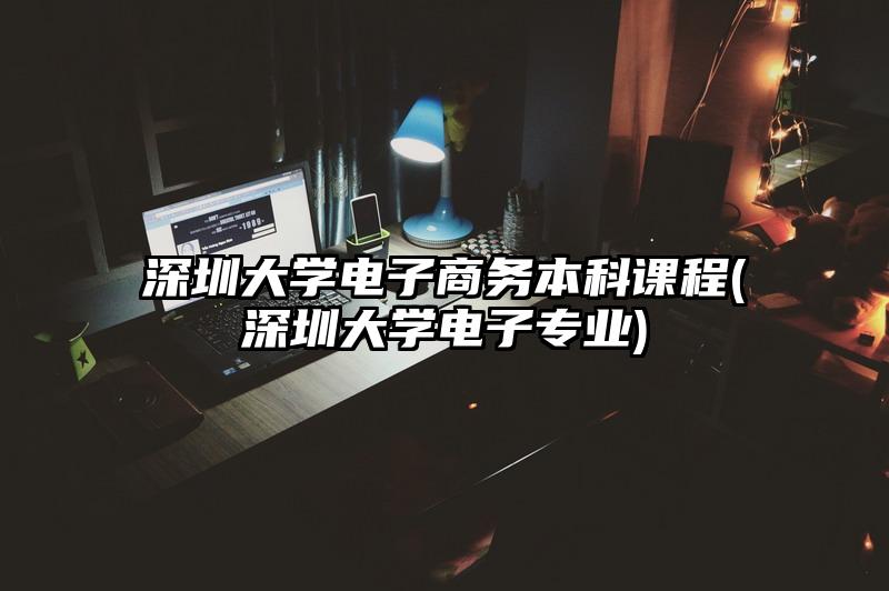 深圳大学电子商务本科课程(深圳大学电子专业)