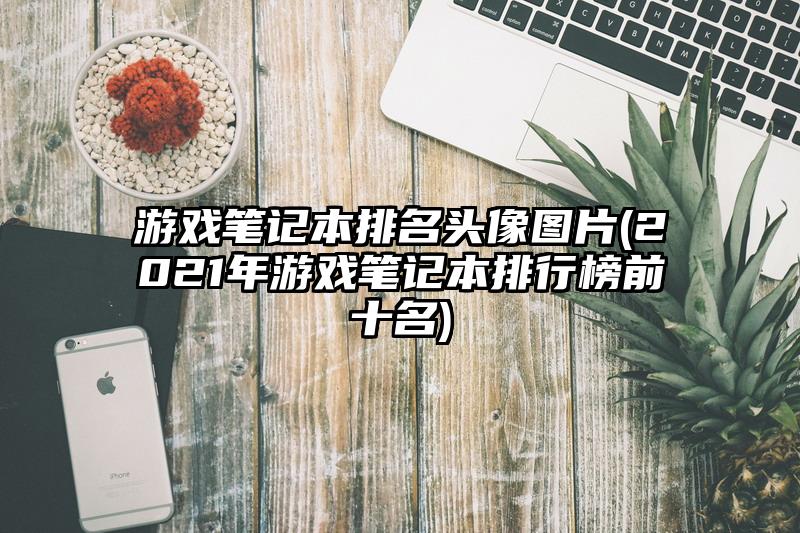 游戏笔记本排名头像图片(2021年游戏笔记本排行榜前十名)