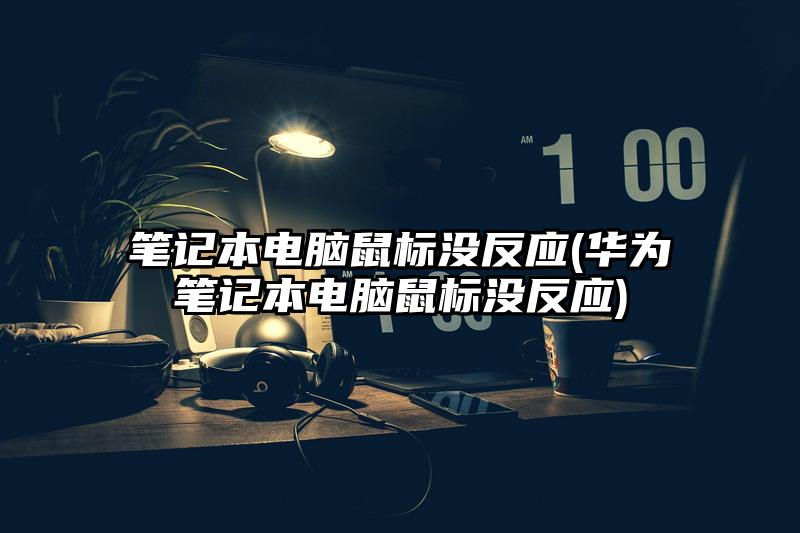 笔记本电脑鼠标没反应(华为笔记本电脑鼠标没反应)