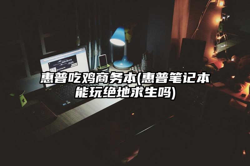 惠普吃鸡商务本(惠普笔记本能玩绝地求生吗)