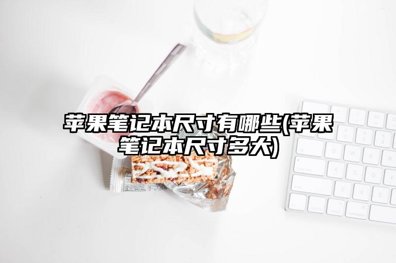 苹果笔记本尺寸有哪些(苹果笔记本尺寸多大)
