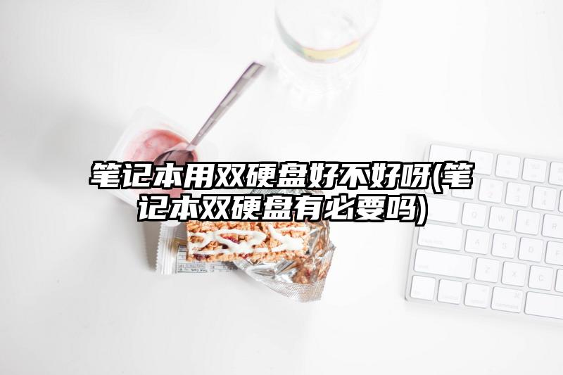 笔记本用双硬盘好不好呀(笔记本双硬盘有必要吗)