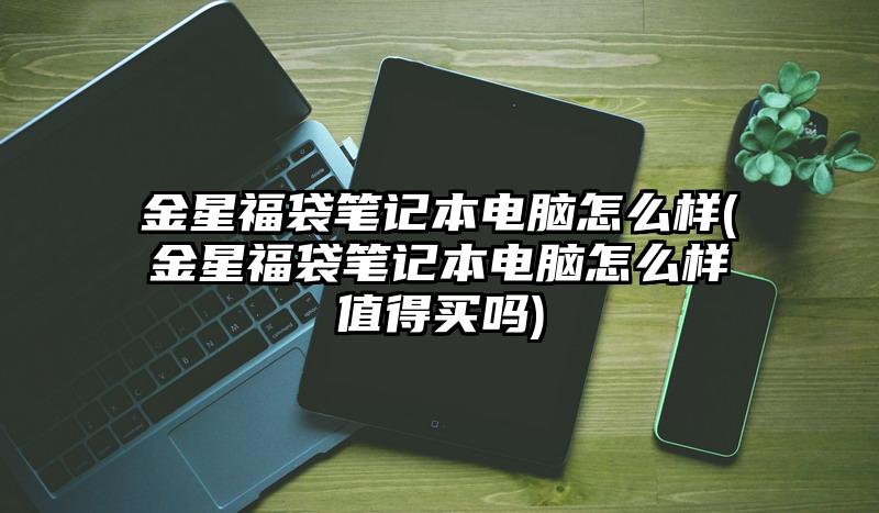金星福袋笔记本电脑怎么样(金星福袋笔记本电脑怎么样值得买吗)