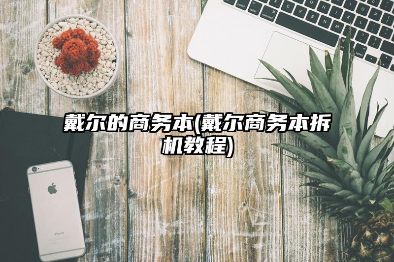 戴尔的商务本(戴尔商务本拆机教程)