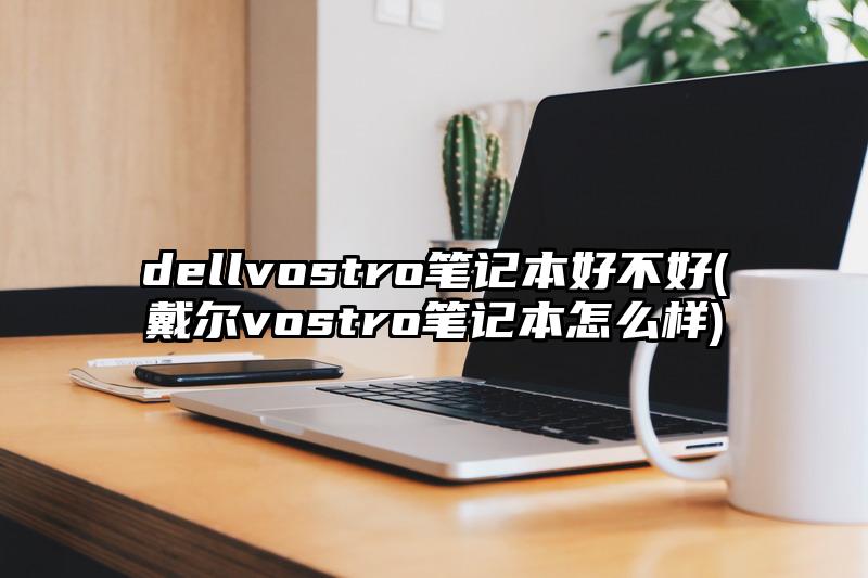 dellvostro笔记本好不好(戴尔vostro笔记本怎么样)