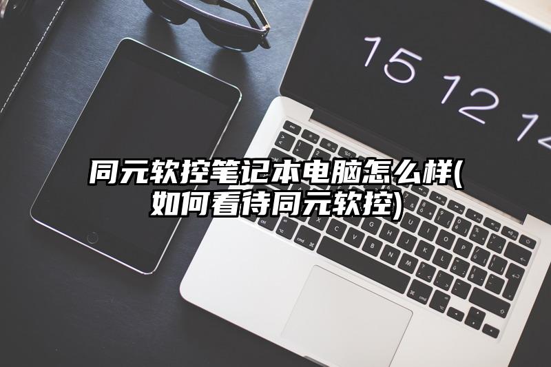同元软控笔记本电脑怎么样(如何看待同元软控)