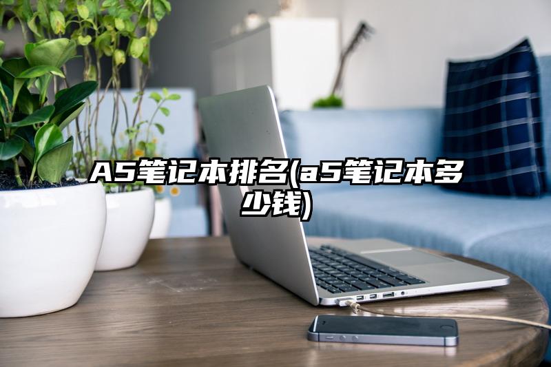 A5笔记本排名(a5笔记本多少钱)