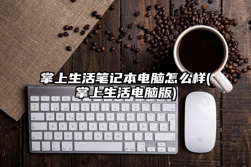 掌上生活笔记本电脑怎么样(掌上生活电脑版)