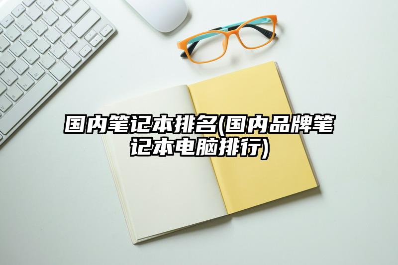 国内笔记本排名(国内品牌笔记本电脑排行)