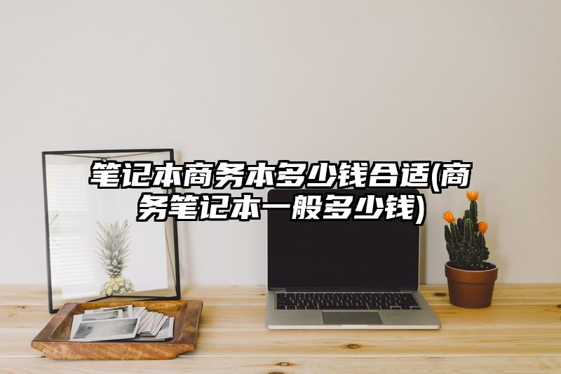 笔记本商务本多少钱合适(商务笔记本一般多少钱)