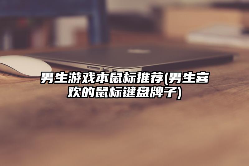 男生游戏本鼠标推荐(男生喜欢的鼠标键盘牌子)