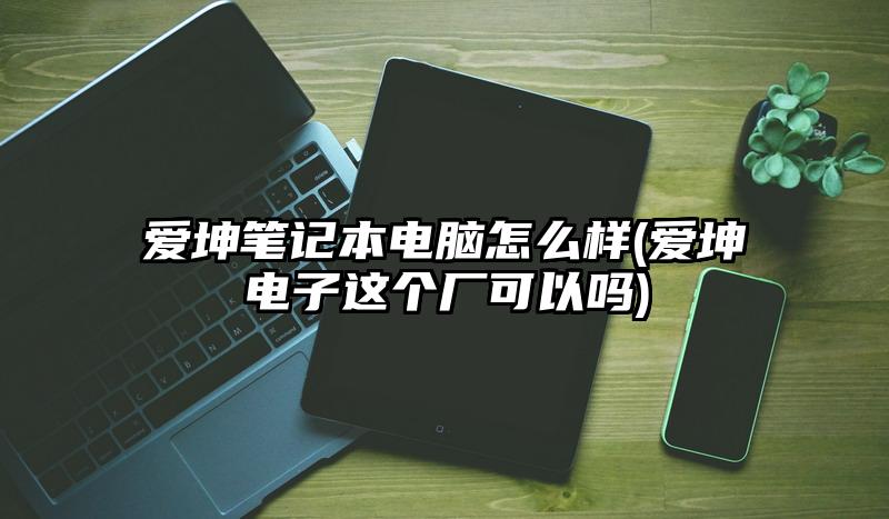 爱坤笔记本电脑怎么样(爱坤电子这个厂可以吗)