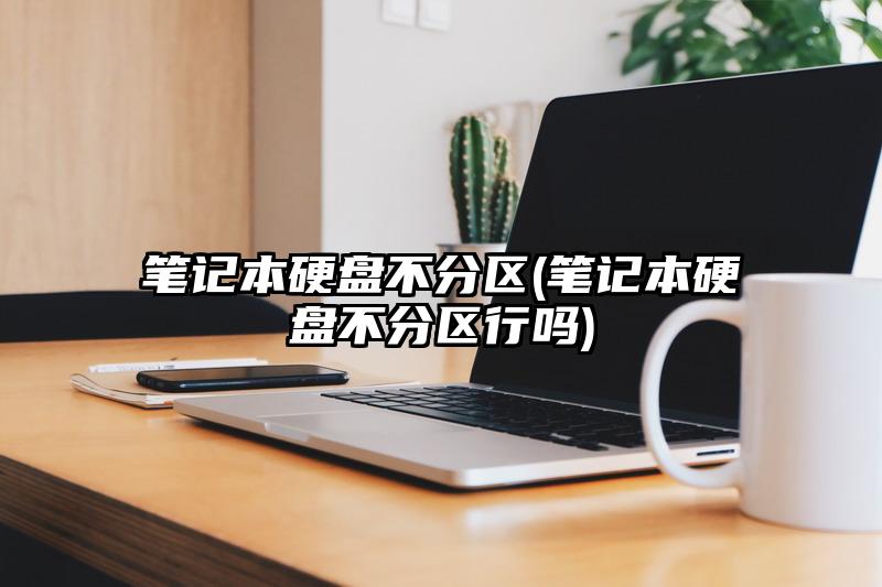 笔记本硬盘不分区(笔记本硬盘不分区行吗)