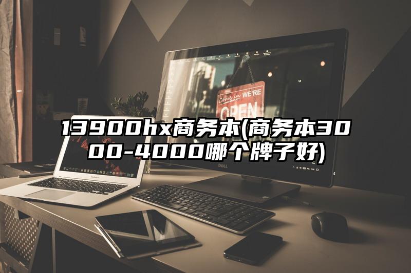 13900hx商务本(商务本3000-4000哪个牌子好)