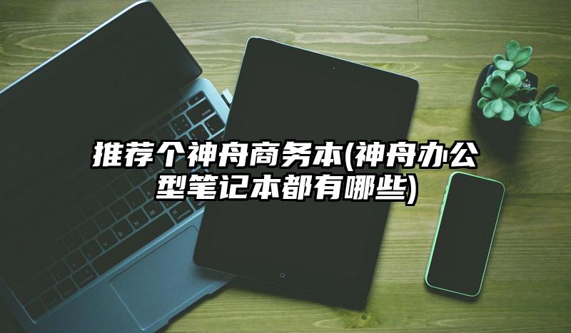 推荐个神舟商务本(神舟办公型笔记本都有哪些)
