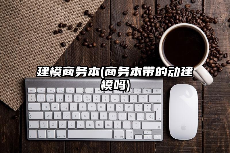 建模商务本(商务本带的动建模吗)