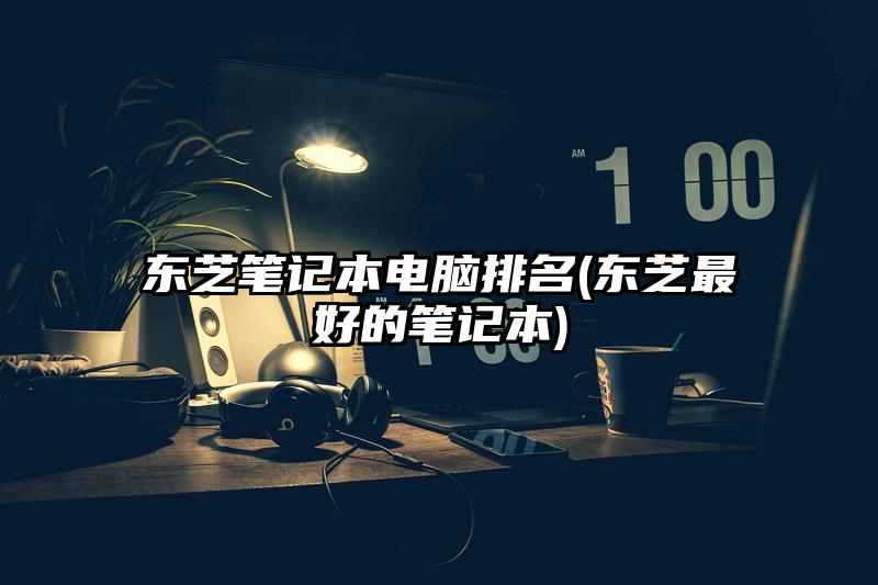 东芝笔记本电脑排名(东芝最好的笔记本)
