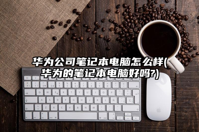 华为公司笔记本电脑怎么样(华为的笔记本电脑好吗?)