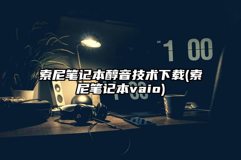索尼笔记本醇音技术下载(索尼笔记本vaio)