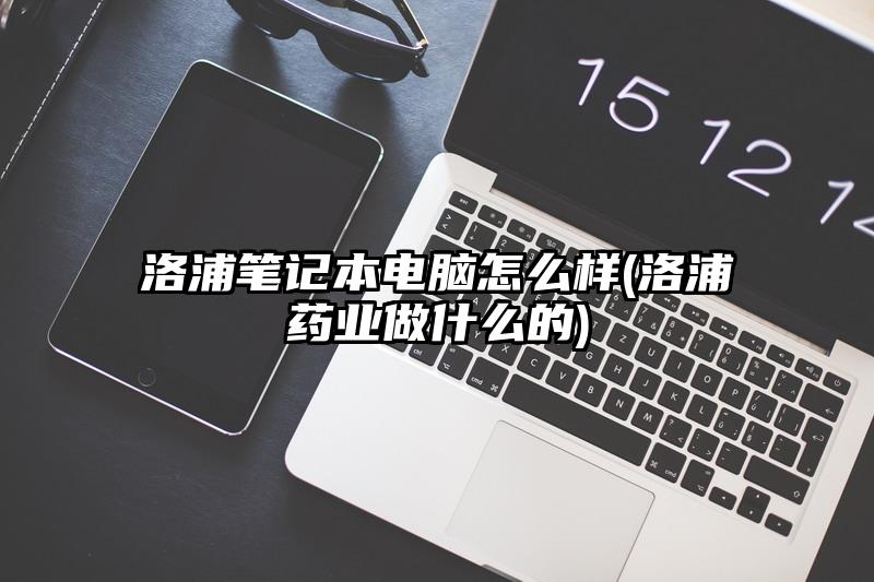 洛浦笔记本电脑怎么样(洛浦药业做什么的)