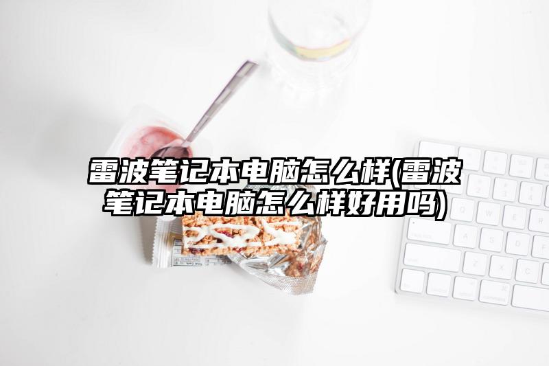 雷波笔记本电脑怎么样(雷波笔记本电脑怎么样好用吗)