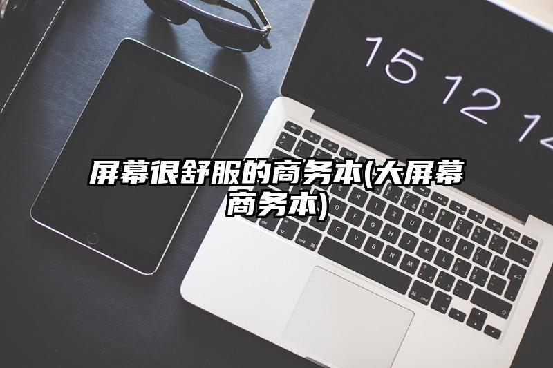 屏幕很舒服的商务本(大屏幕商务本)