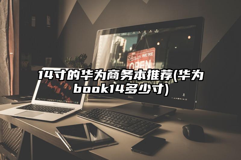 14寸的华为商务本推荐(华为book14多少寸)