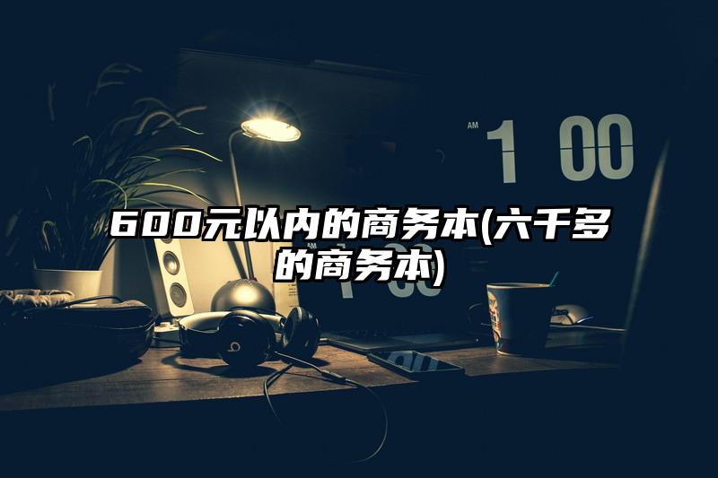 600元以内的商务本(六千多的商务本)