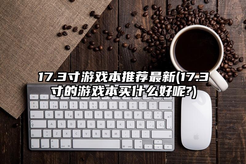 17.3寸游戏本推荐最新(17.3寸的游戏本买什么好呢?)