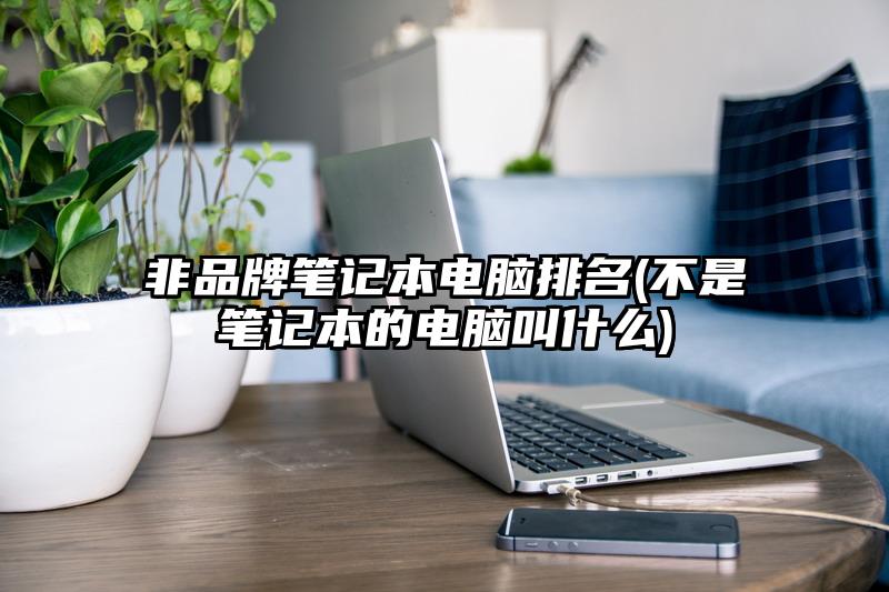 非品牌笔记本电脑排名(不是笔记本的电脑叫什么)