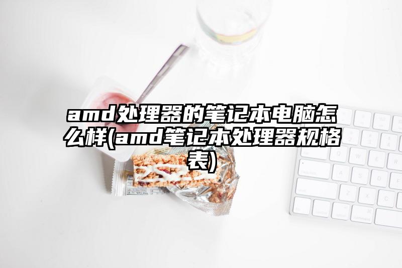 amd处理器的笔记本电脑怎么样(amd笔记本处理器规格表)