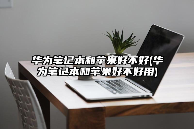华为笔记本和苹果好不好(华为笔记本和苹果好不好用)