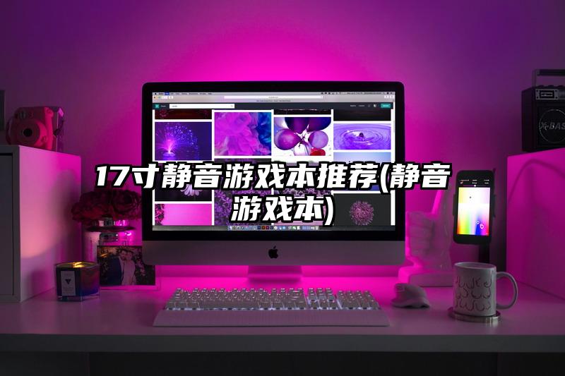 17寸静音游戏本推荐(静音 游戏本)