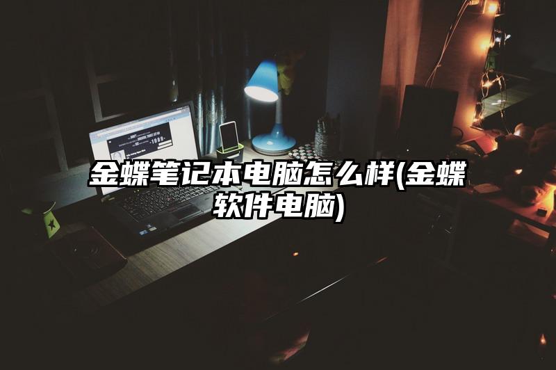 金蝶笔记本电脑怎么样(金蝶软件电脑)