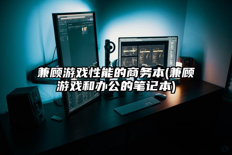 兼顾游戏性能的商务本(兼顾游戏和办公的笔记本)