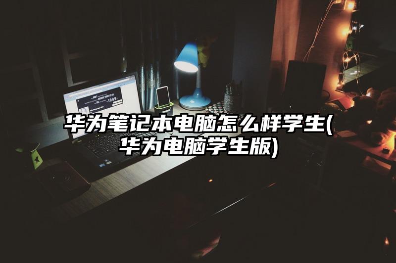 华为笔记本电脑怎么样学生(华为电脑学生版)