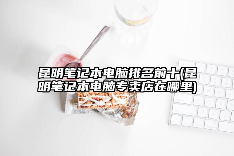 昆明笔记本电脑排名前十(昆明笔记本电脑专卖店在哪里)