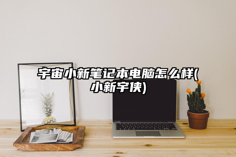 宇宙小新笔记本电脑怎么样(小新宇侠)