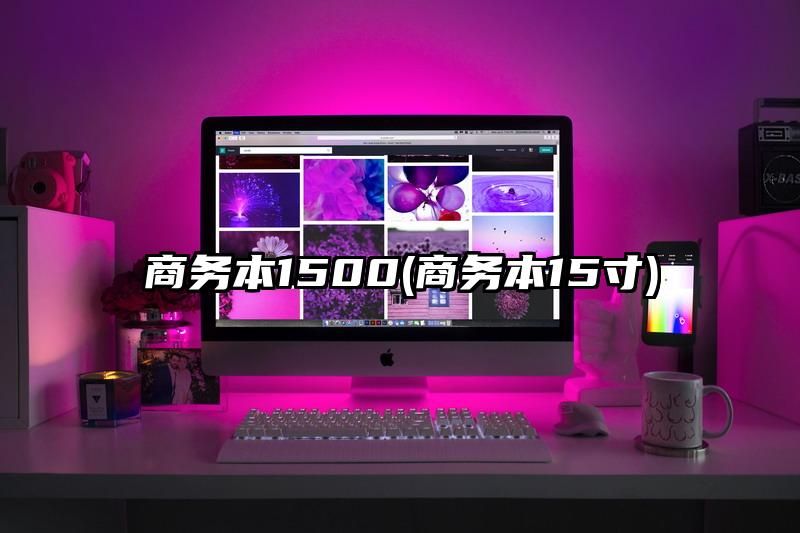 商务本1500(商务本15寸)